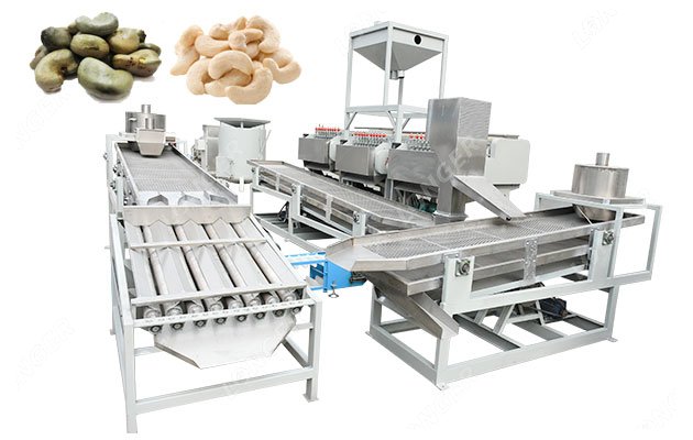 500 kg/h Cashew Nut Processing Machinery