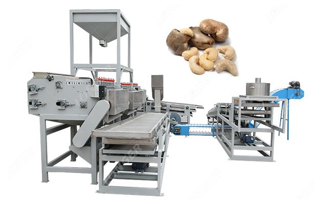 Raw Cashew Nut Processing Machine 500KG