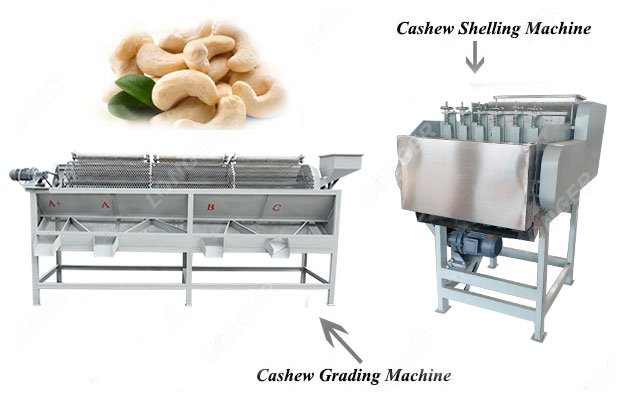 Cashew Nut Processing Machine Supplier in China