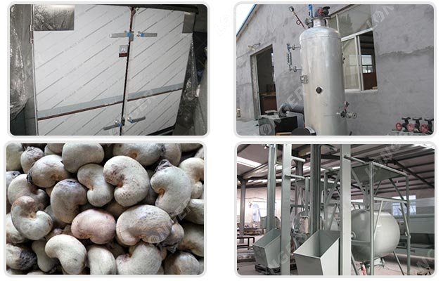 Raw Cashew Nut Processing Machinery Manufacturer