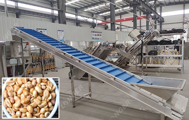 Peanut Roasting Line Sold to Nigeria