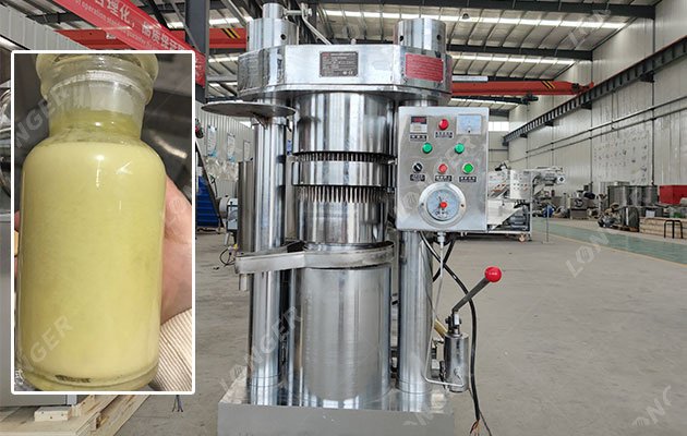 Cocoa Butter Press Machine High Pressing Pressure