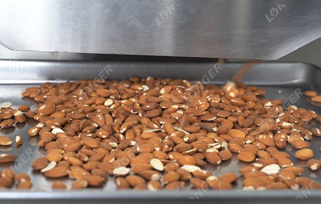 Stainless Steel Almond Roasting Machine