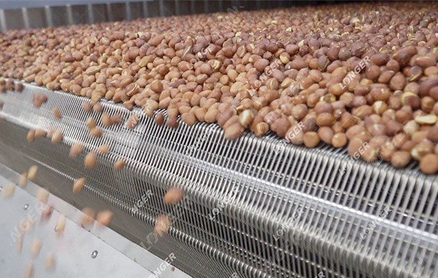 Peanuts Roasting Process of Peanut Butter Production Line