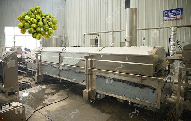 Wasabi Peas Fryer Machine