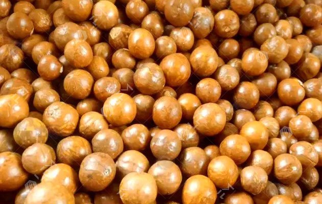 Industrial Macadamia Sorting Line Industrial Macadamia Sorting Line